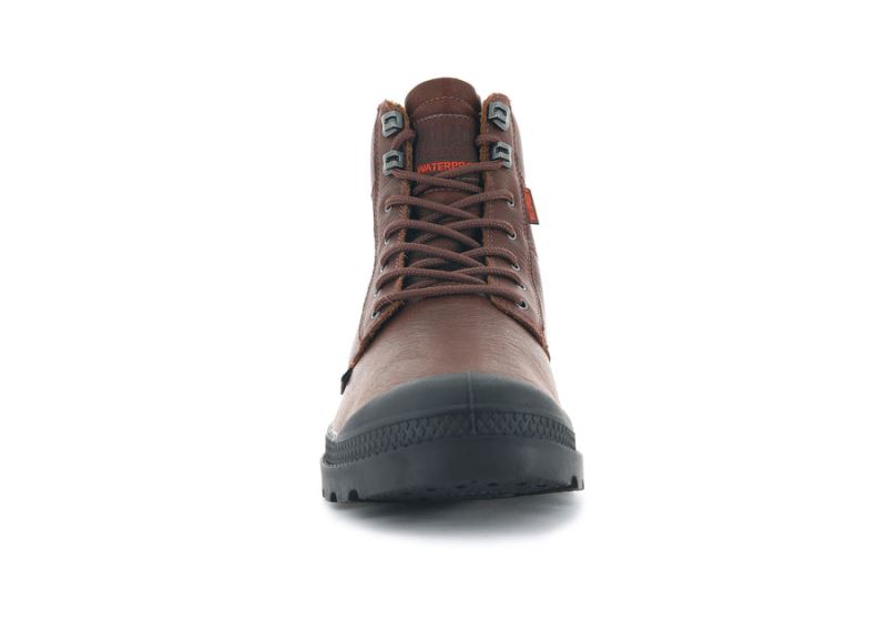 Palladium Pampa Shield Wp+ Lth Støvler Dame Brune | DK-214057